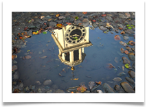 dunham clock puddle 1 - Alan Taylor dunham clock puddle 1 - Alan Taylor